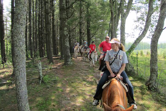 Tour image 1