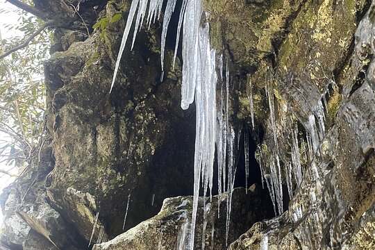 Tour image 12