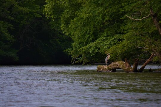Tour image 5