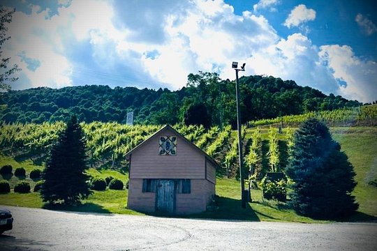 Tour image 2