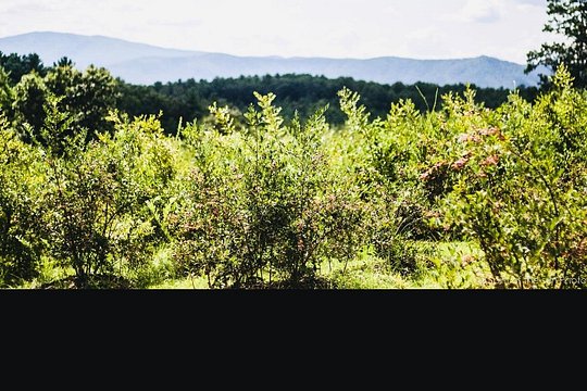 Tour image 10